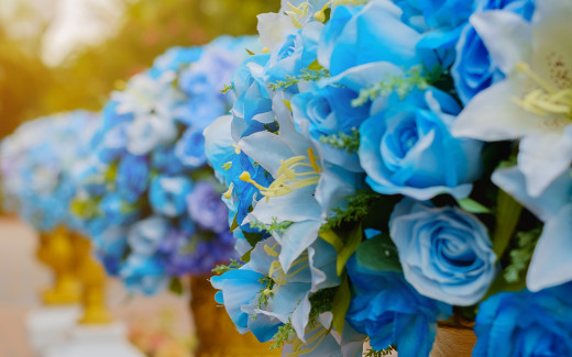 1495186 (a): :2880x1800